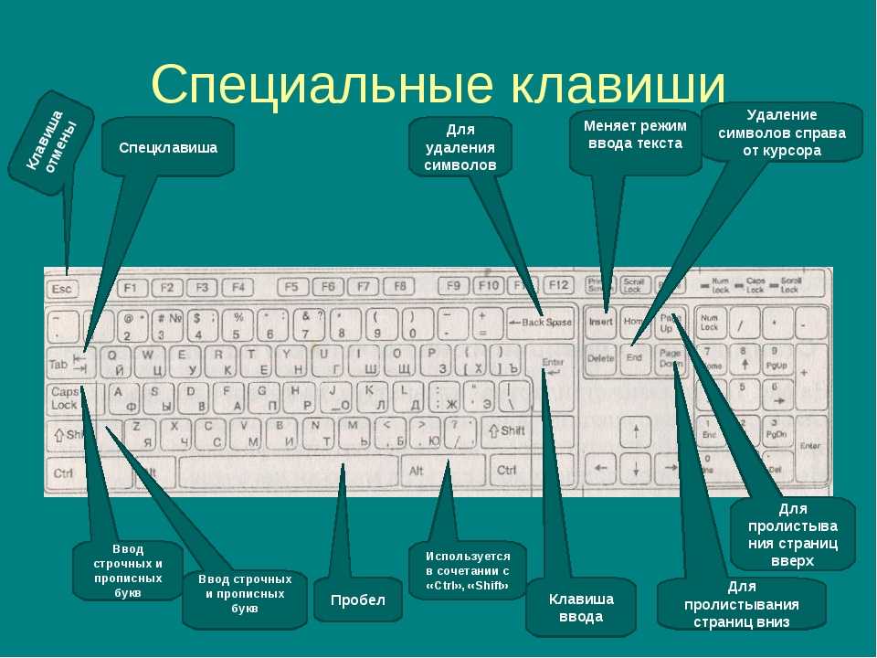 Как узнать на каком языке написано по фото