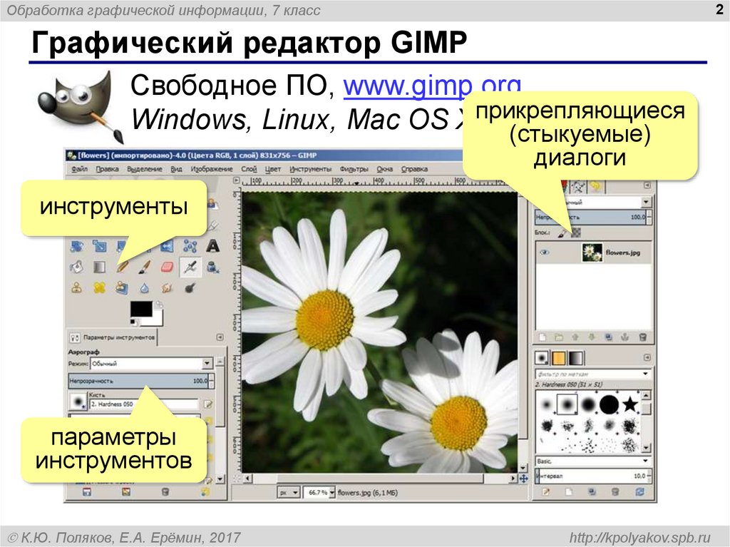 В каком редакторе растровом или векторном вы будете редактировать фотографию информатика 7 класс