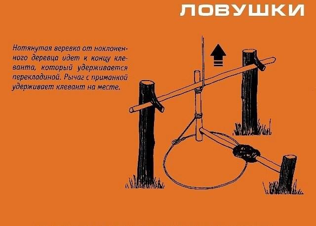 С помощью которого можно устанавливать. Ловушки. ЛОВУШКА С верёвкой. ЛОВУШКА из веревки. Ловушки для людей.