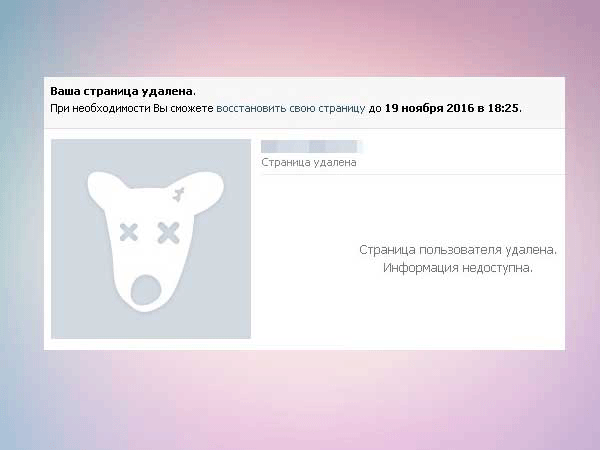 Страничка удалена. Удаленная страница. Удаленная страница ВК. Удалить страницу в ВК. Как выглядит удаленный аккаунт в ВК.