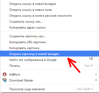 Как скопировать картинку. Копировать ссылку на изображение. Как Копировать URL картинки. Как Копировать ссылки с сайтов.